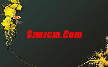 1.76倚天精品传奇