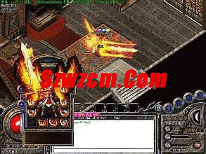 1.76复古小极品 5