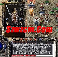 传奇1.76法师宝宝详细