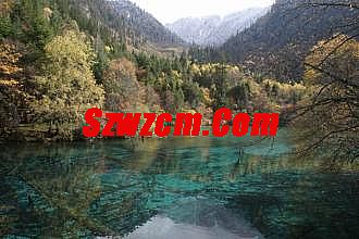 不合区长久传奇