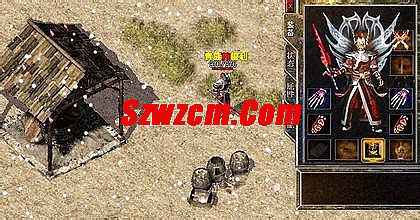 新开传奇小极品