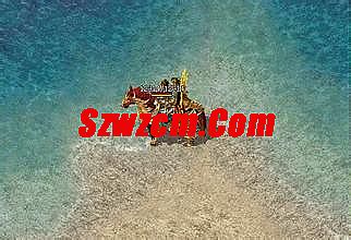 11月2日1.85星王合击