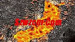 鹿这句话需要火龙斧卫大清早收获